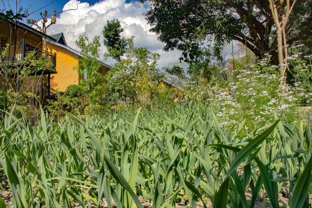 Prakriti Aalay - Riverside Mountain View Boutique Eco Resort Dharamshala Extérieur photo